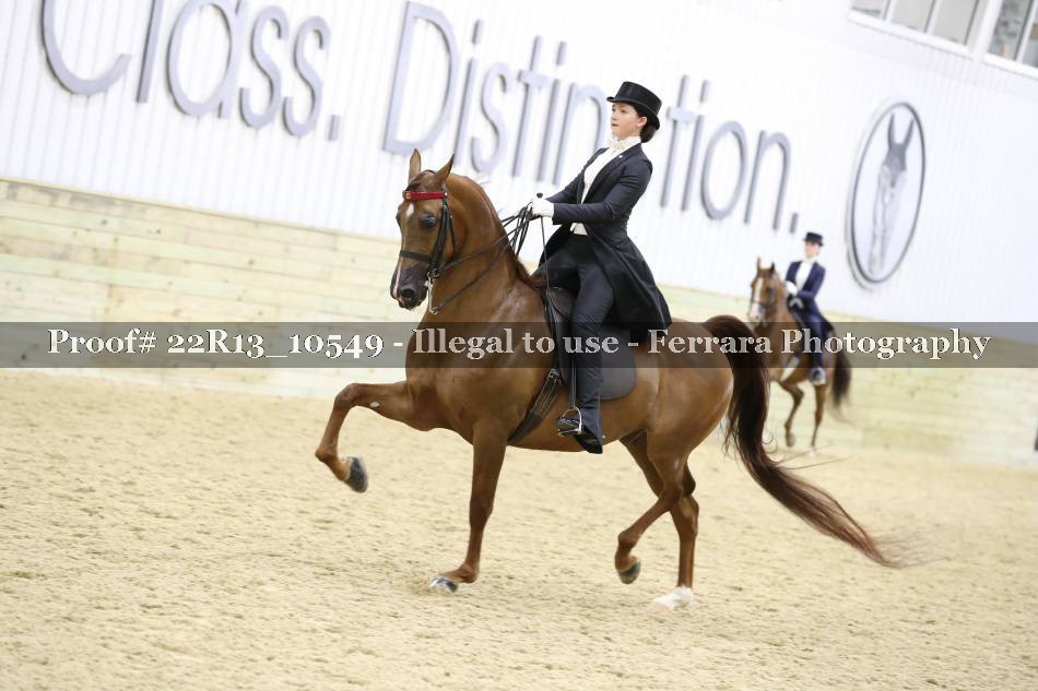 Proof 22R13_10549