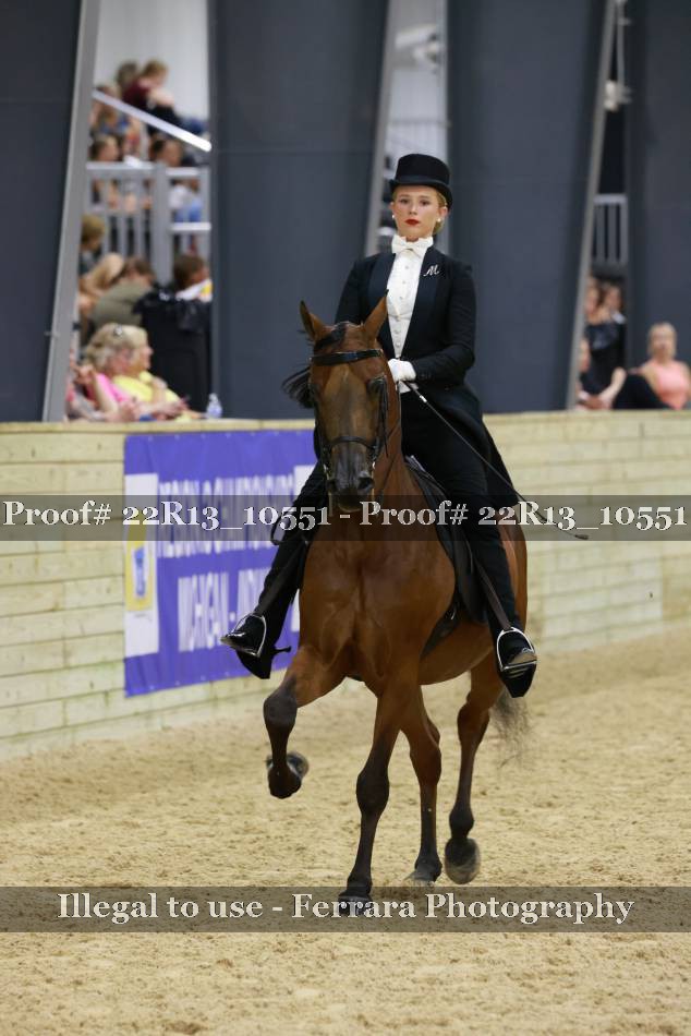 Proof 22R13_10551