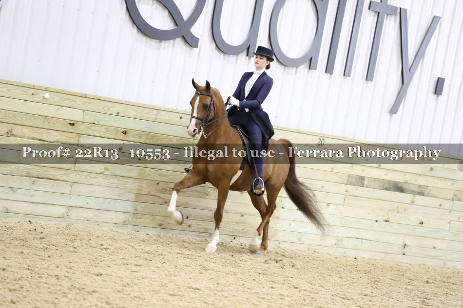 Proof 22R13_10553