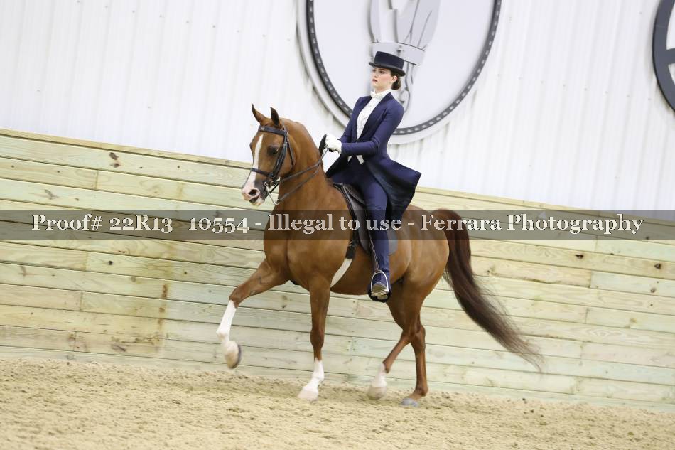 Proof 22R13_10554