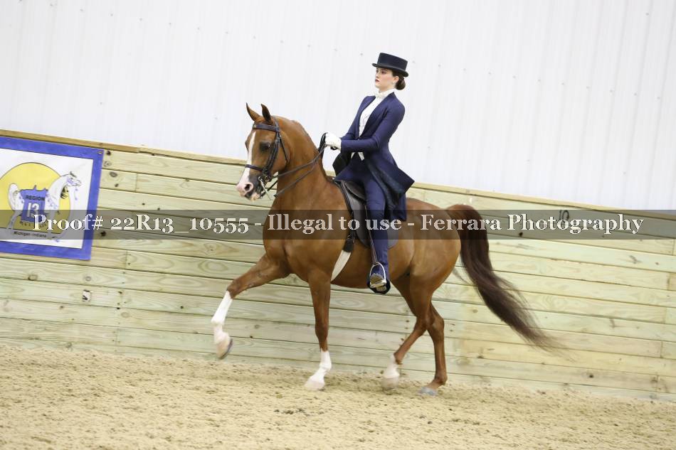 Proof 22R13_10555