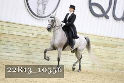 22R13_10556 proof