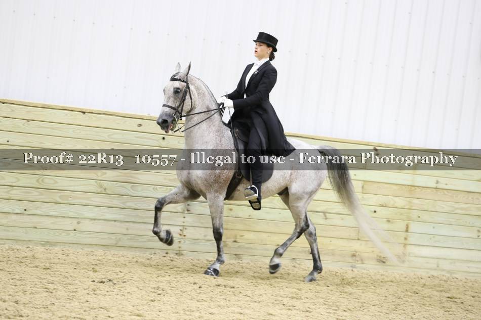 Proof 22R13_10557