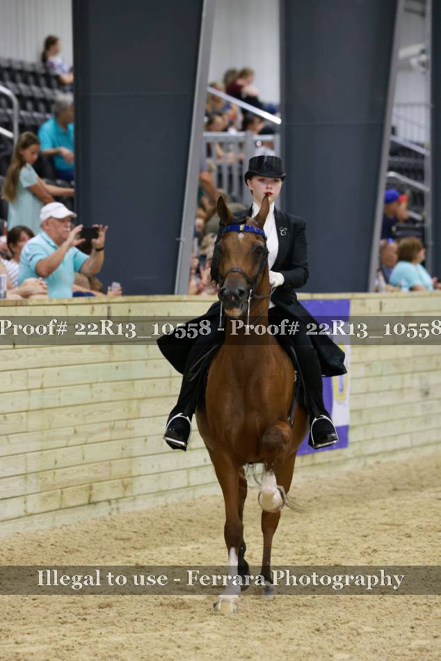 Proof 22R13_10558