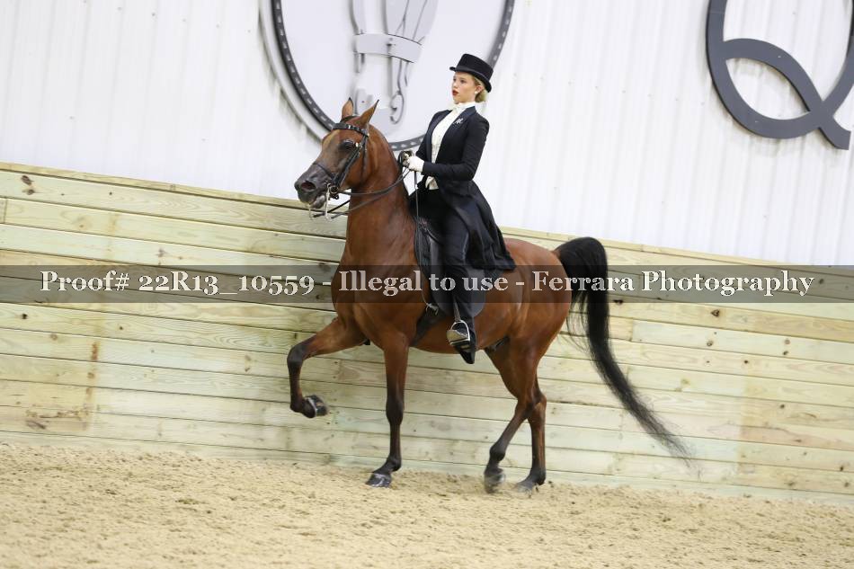 Proof 22R13_10559