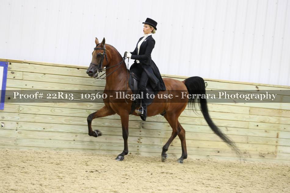 Proof 22R13_10560