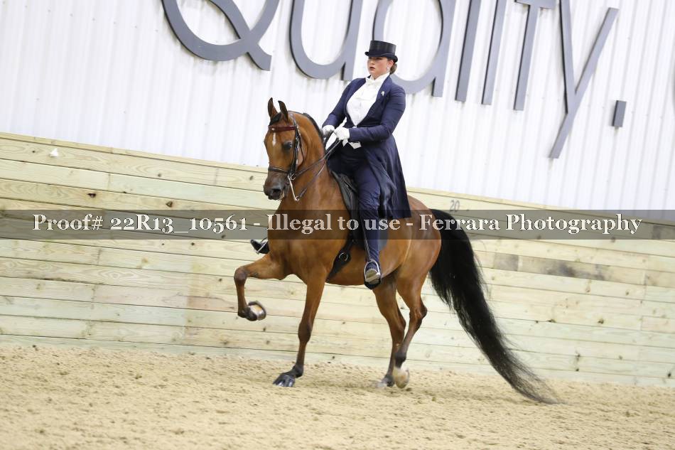 Proof 22R13_10561