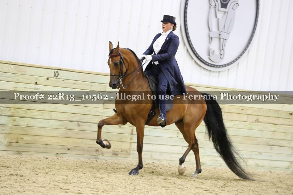 Proof 22R13_10562