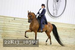 22R13_10562 proof