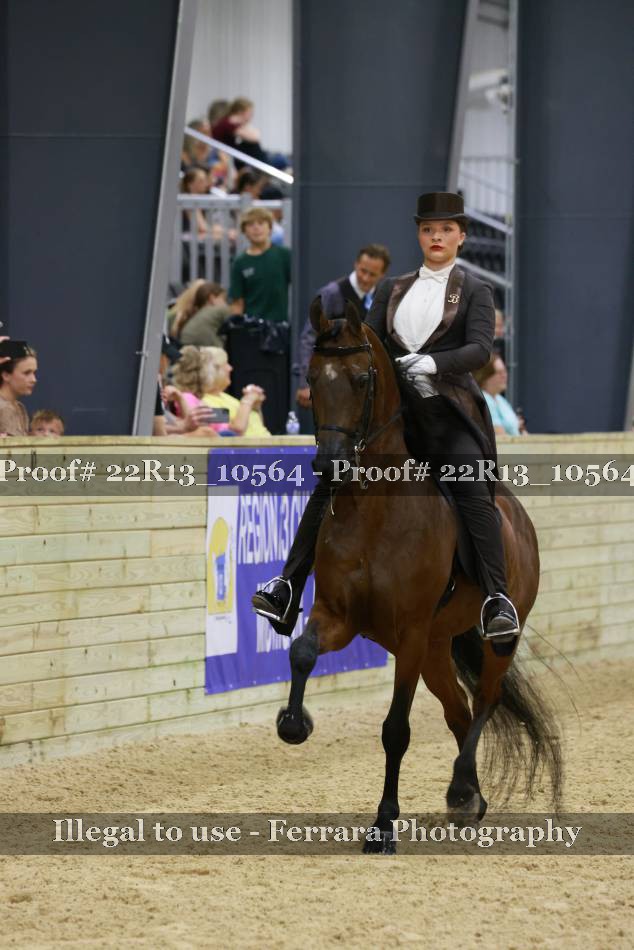 Proof 22R13_10564