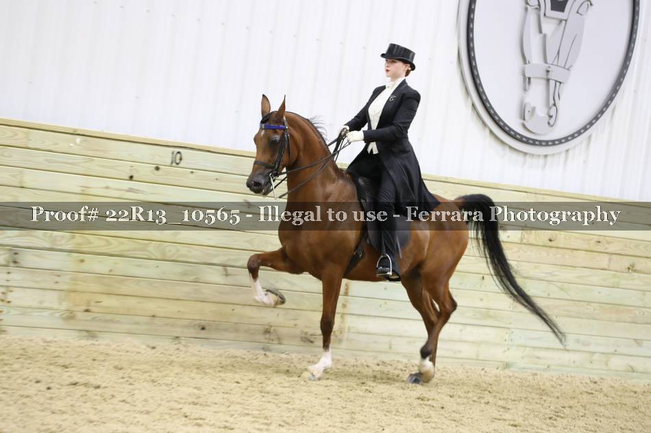 Proof 22R13_10565