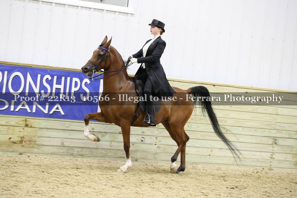 Proof 22R13_10566