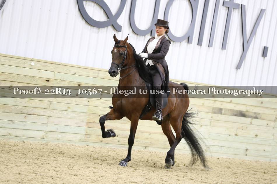 Proof 22R13_10567