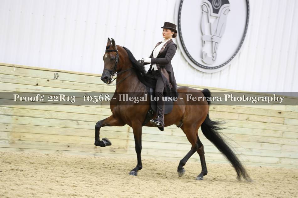 Proof 22R13_10568