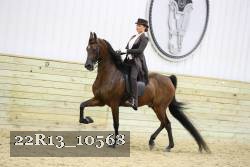 22R13_10568 proof