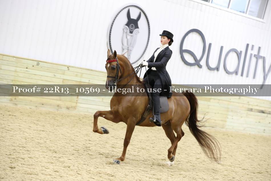 Proof 22R13_10569