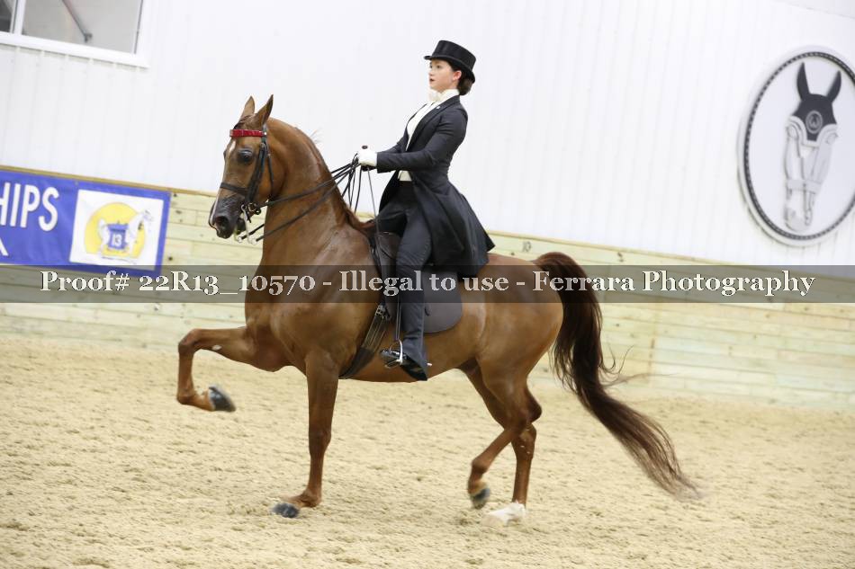 Proof 22R13_10570