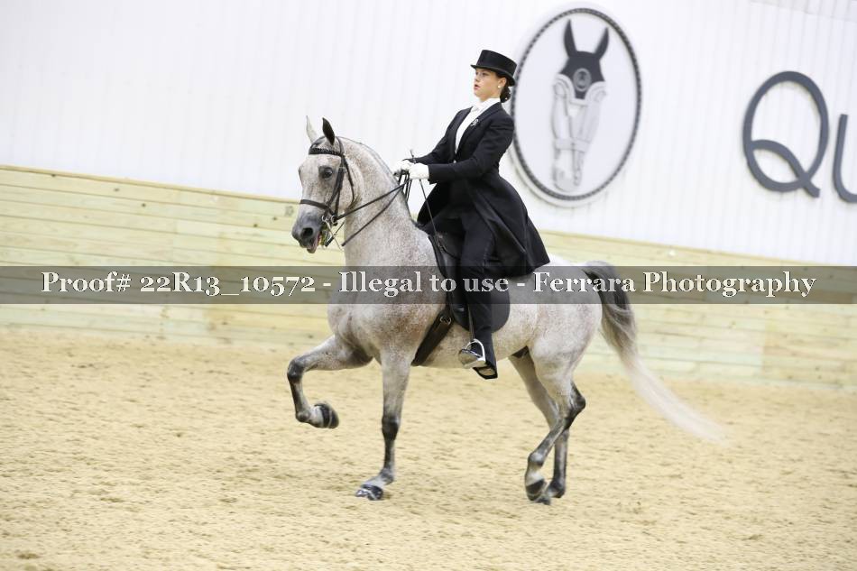 Proof 22R13_10572