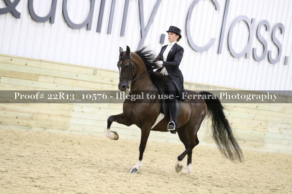 Proof 22R13_10576
