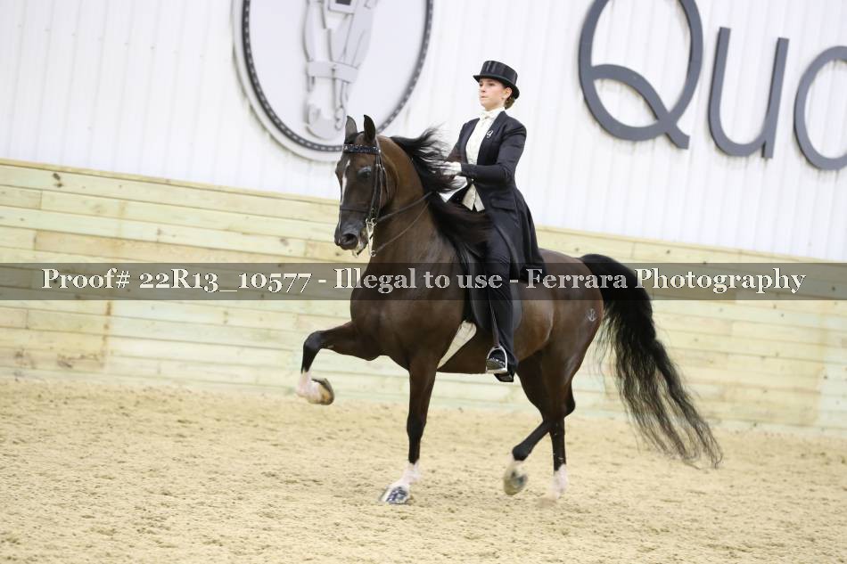 Proof 22R13_10577