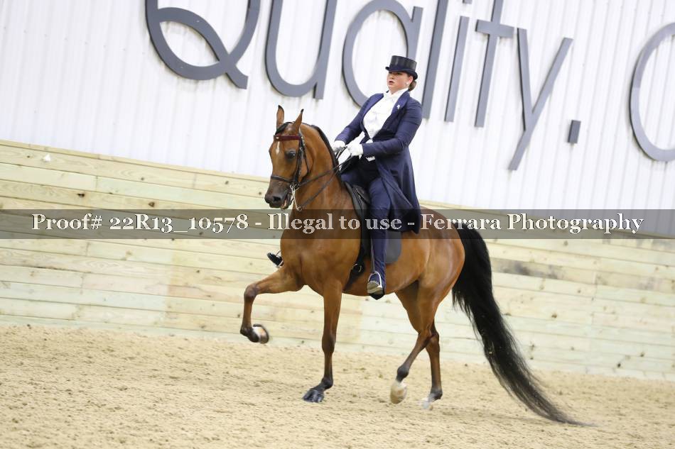 Proof 22R13_10578