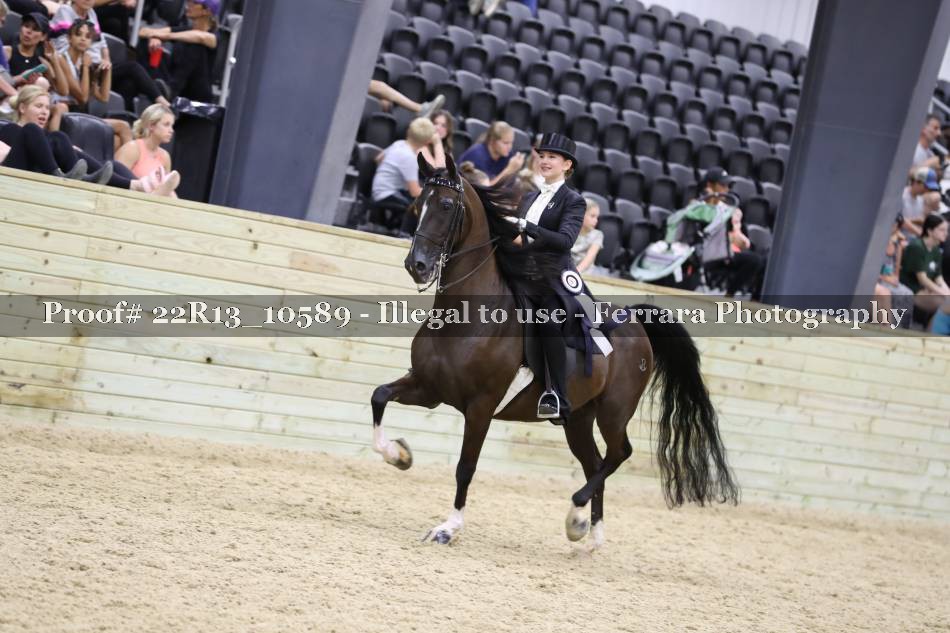 Proof 22R13_10589