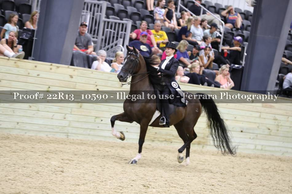 Proof 22R13_10590