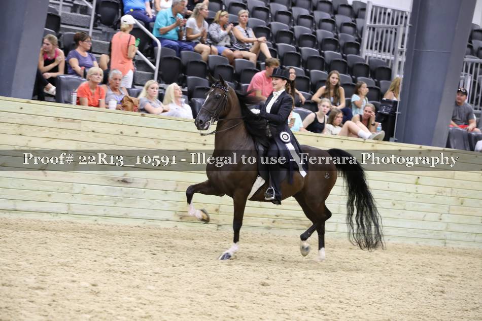 Proof 22R13_10591