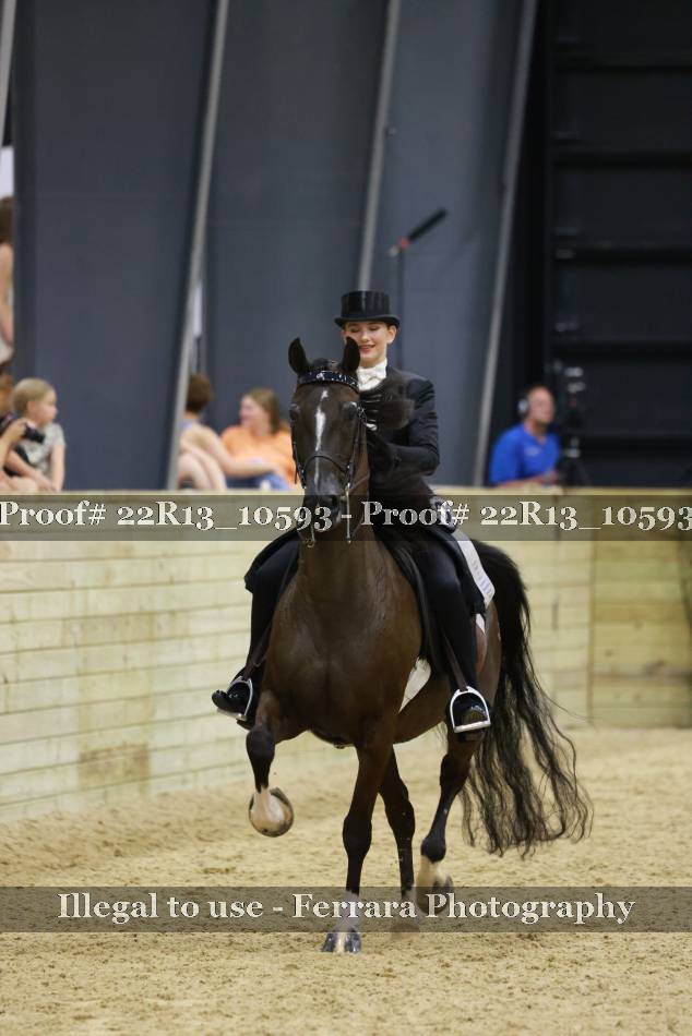 Proof 22R13_10593