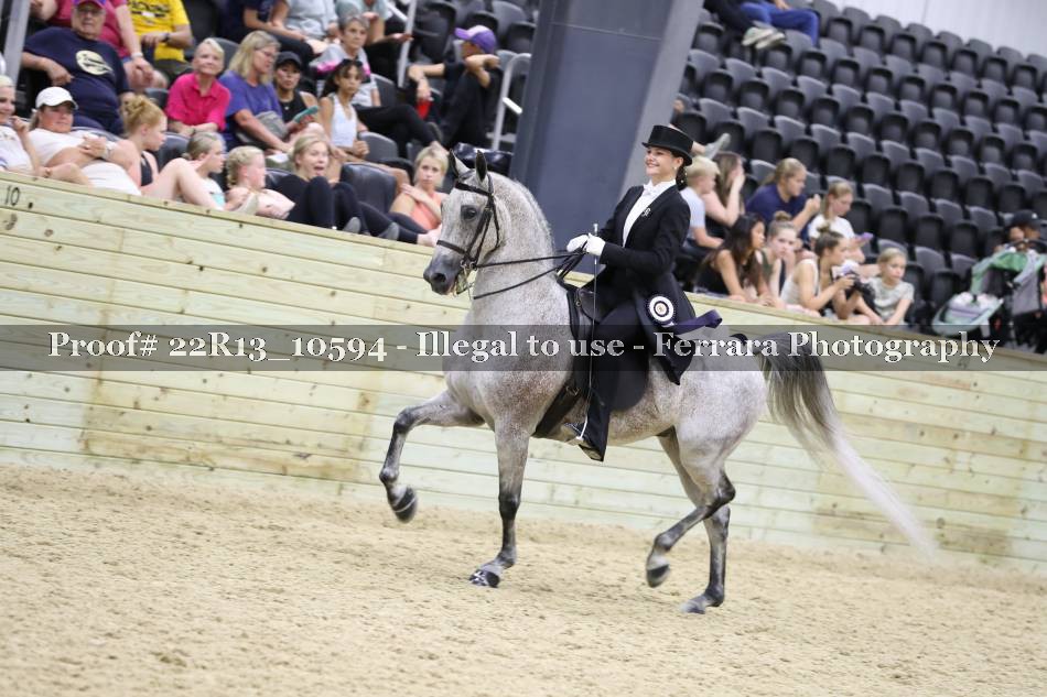 Proof 22R13_10594