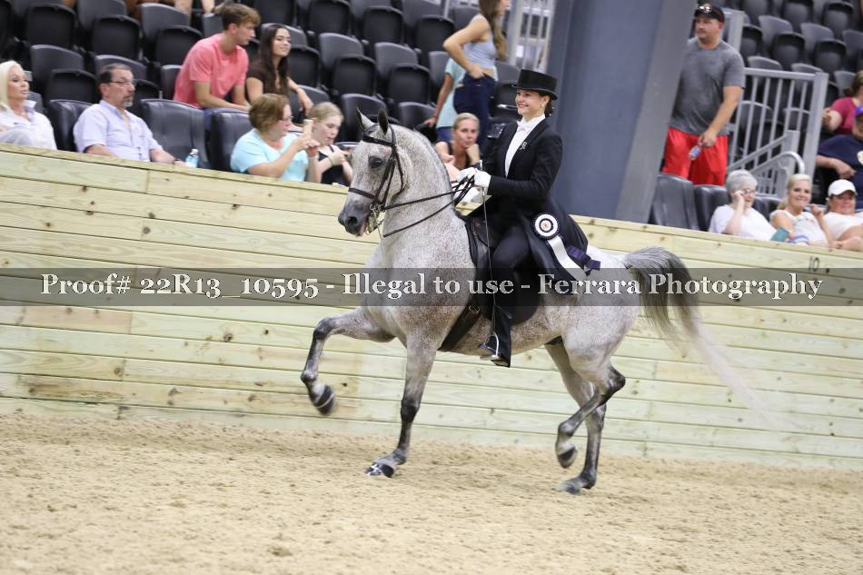 Proof 22R13_10595