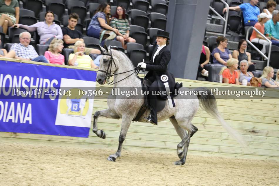 Proof 22R13_10596