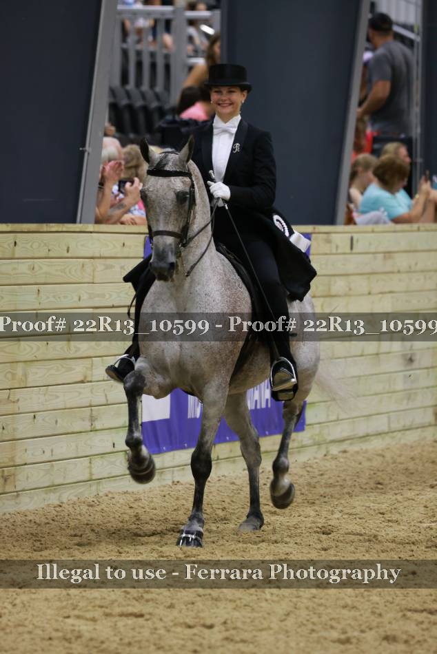 Proof 22R13_10599