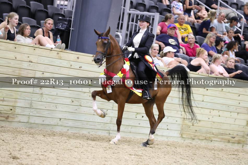 Proof 22R13_10601