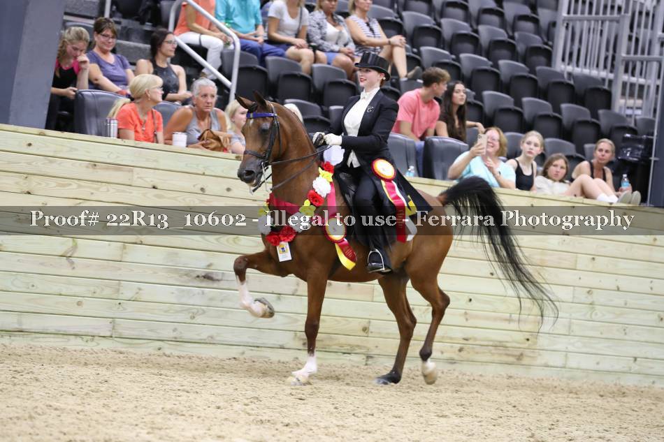 Proof 22R13_10602