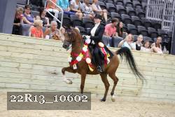 22R13_10602 proof