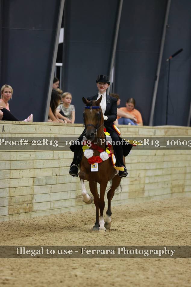 Proof 22R13_10603