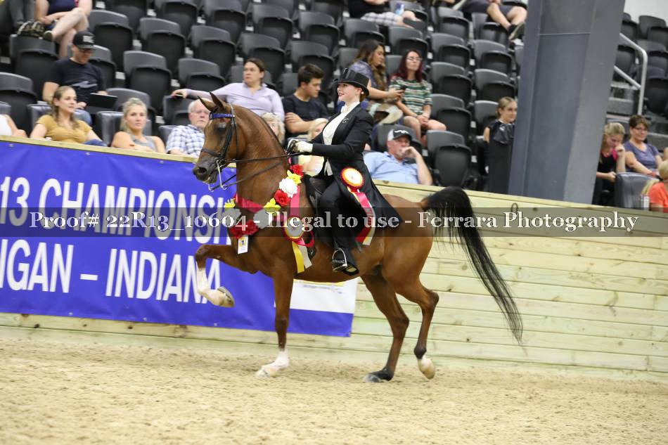 Proof 22R13_10604