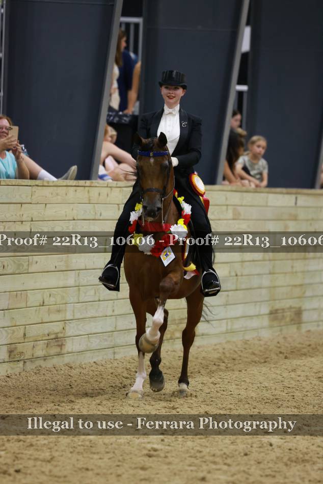 Proof 22R13_10606