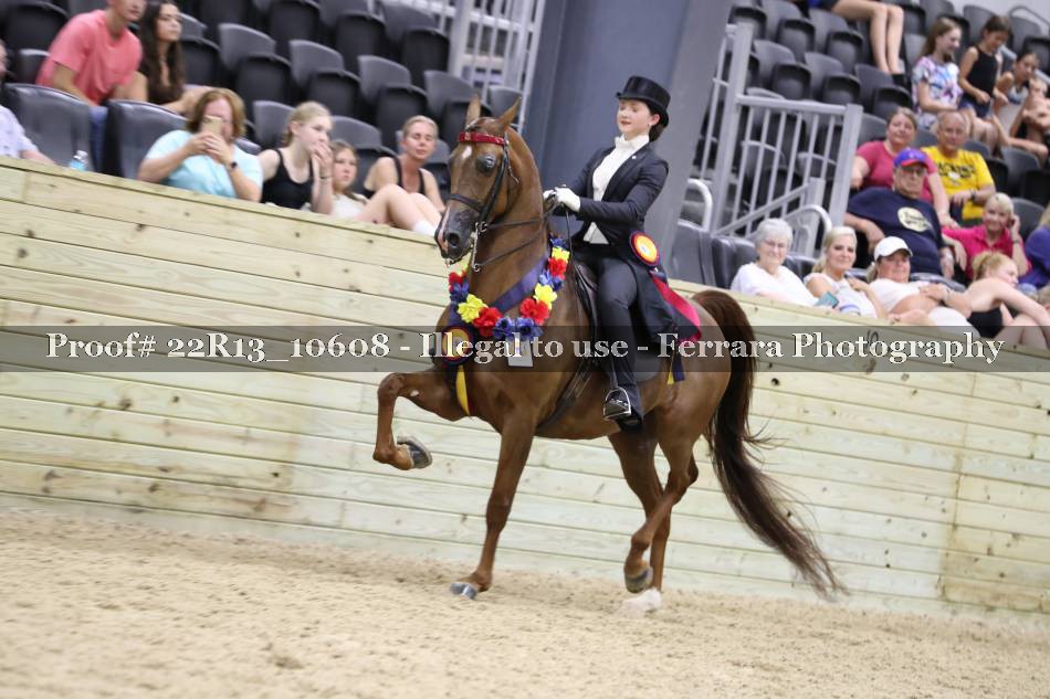 Proof 22R13_10608