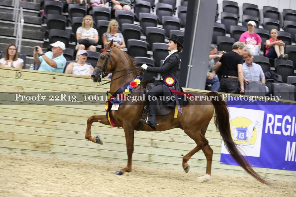 Proof 22R13_10611