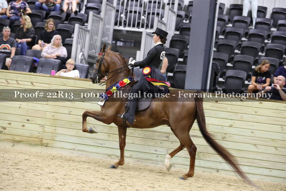 Proof 22R13_10613