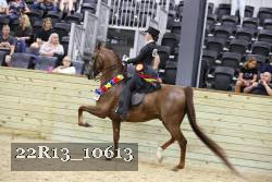 22R13_10613 proof