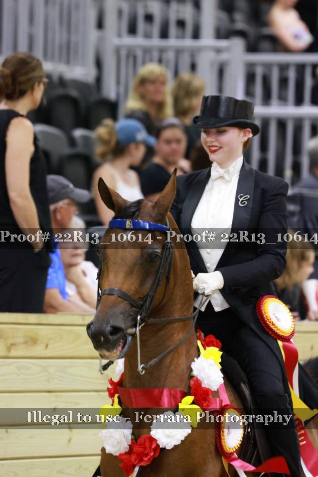 Proof 22R13_10614
