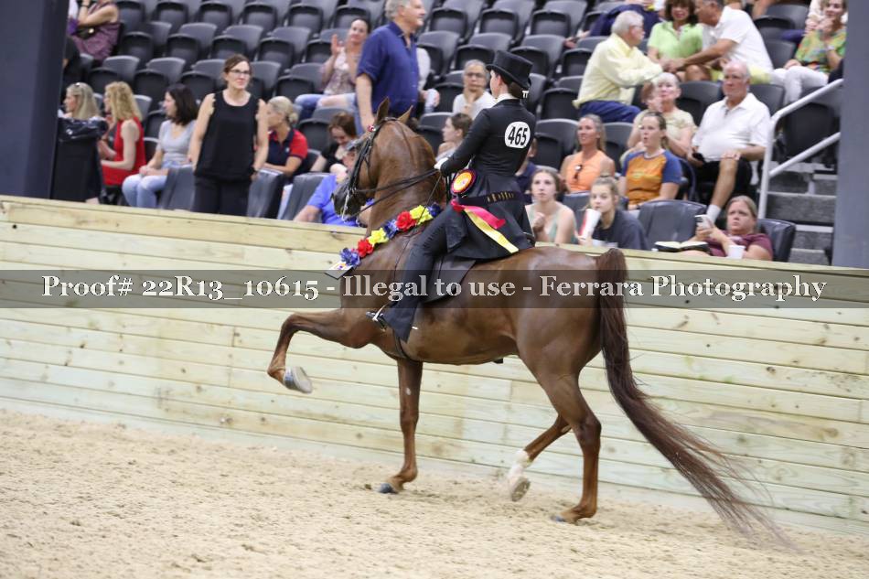 Proof 22R13_10615