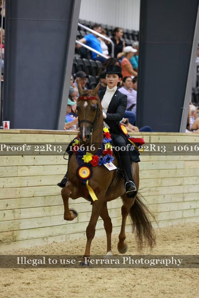 Proof 22R13_10616
