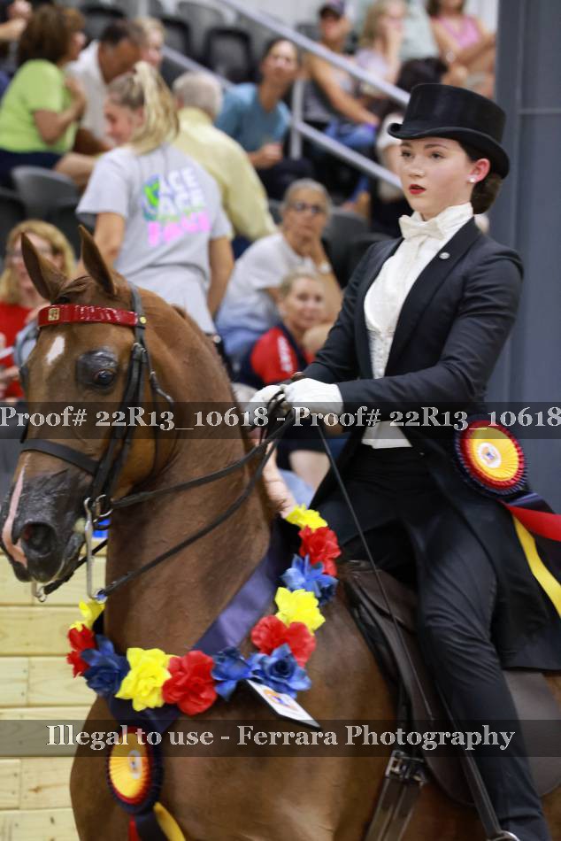 Proof 22R13_10618