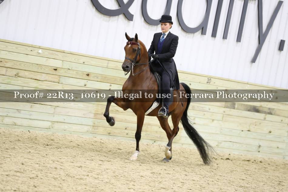 Proof 22R13_10619