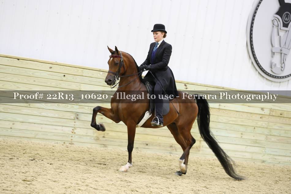 Proof 22R13_10620