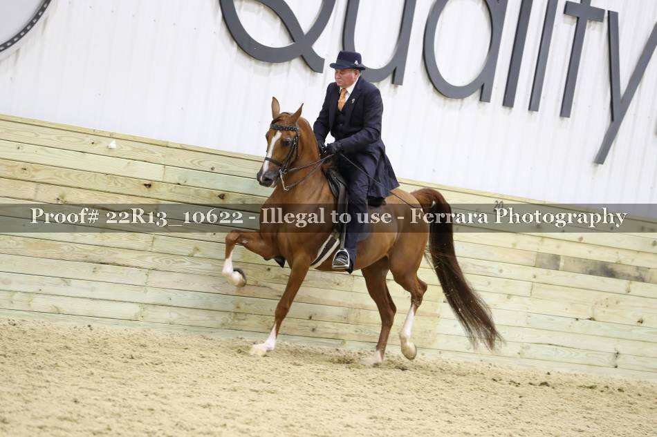 Proof 22R13_10622